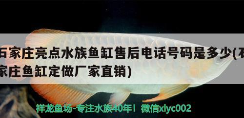 石家庄亮点水族鱼缸售后电话号码是多少(石家庄鱼缸定做厂家直销)