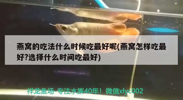 南宁市船长宠物店 全国水族馆企业名录 第1张