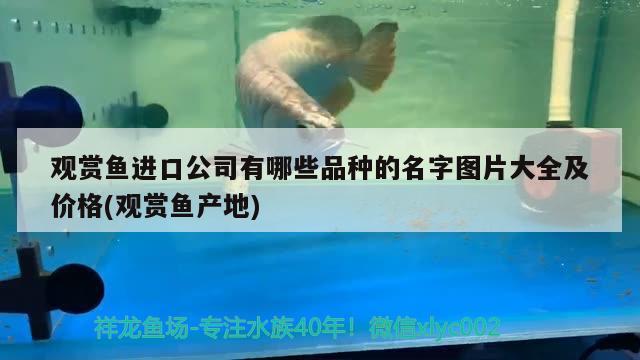 1.2米鱼缸养水几天（1.2米鱼缸养水几天换一次水）