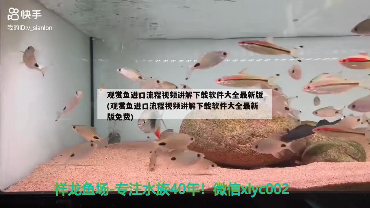 观赏鱼进口流程视频讲解下载软件大全最新版(观赏鱼进口流程视频讲解下载软件大全最新版免费) 观赏鱼进出口