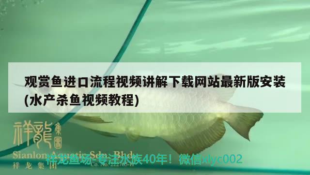 观赏鱼进口流程视频讲解下载网站最新版安装(水产杀鱼视频教程) 观赏鱼进出口