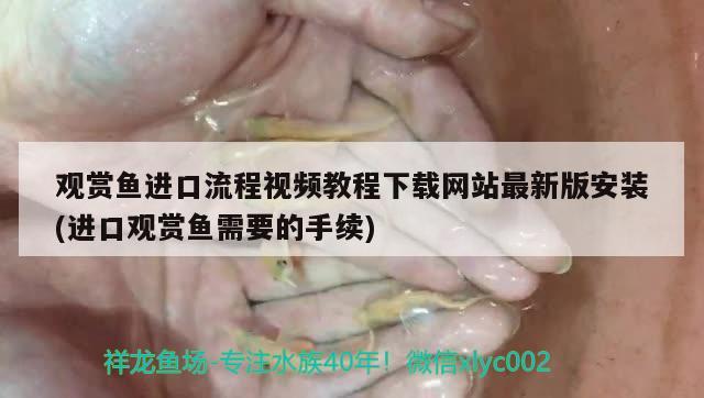 观赏鱼进口流程视频教程下载网站最新版安装(进口观赏鱼需要的手续) 观赏鱼进出口