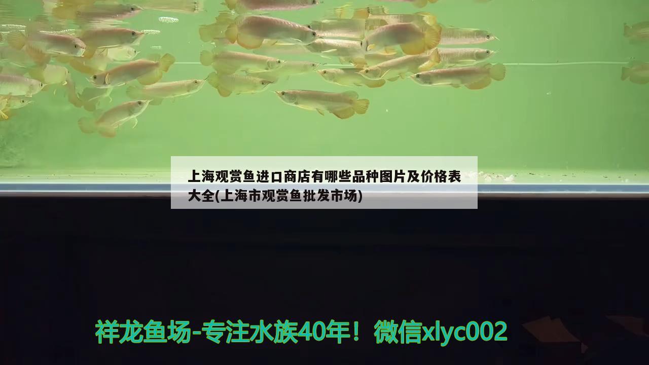 网上卖观赏鱼的网站叫什么名字：附近有二手鱼缸出售吗 养鱼的好处 第2张