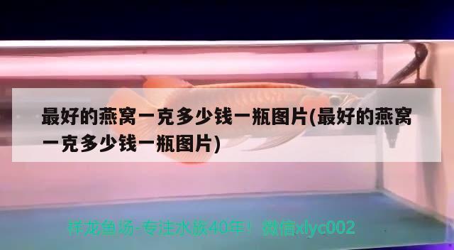 金龙鱼的厂家（金龙鱼的厂家在哪里） 祥龙水族医院 第2张