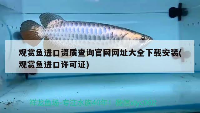 观赏鱼进口资质查询官网网址大全下载安装(观赏鱼进口许可证)