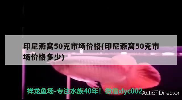 印尼燕窝50克市场价格(印尼燕窝50克市场价格多少)