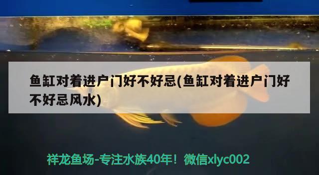 南充水族批发市场在哪里有卖的（谁知道宽甸装修公司） 森森鱼缸 第2张