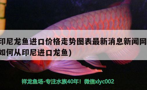 南充水族批发市场在哪里有卖的（谁知道宽甸装修公司） 森森鱼缸 第1张