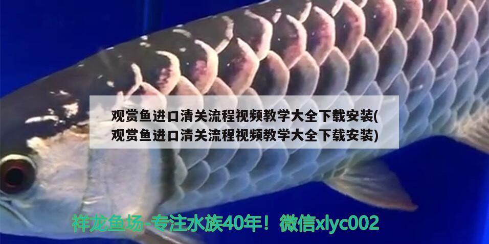 乐事水族鱼缸安装视频大全下载（乐事水族官网）