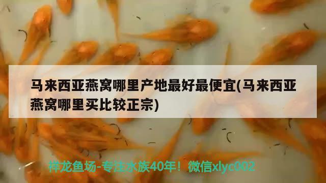 乐事水族鱼缸安装视频大全下载（乐事水族官网）