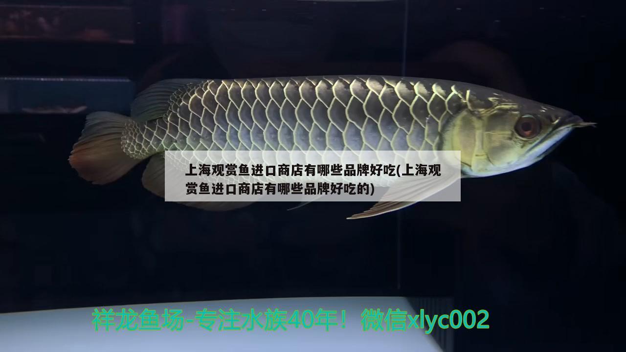 上海观赏鱼进口商店有哪些品牌好吃(上海观赏鱼进口商店有哪些品牌好吃的) 观赏鱼进出口