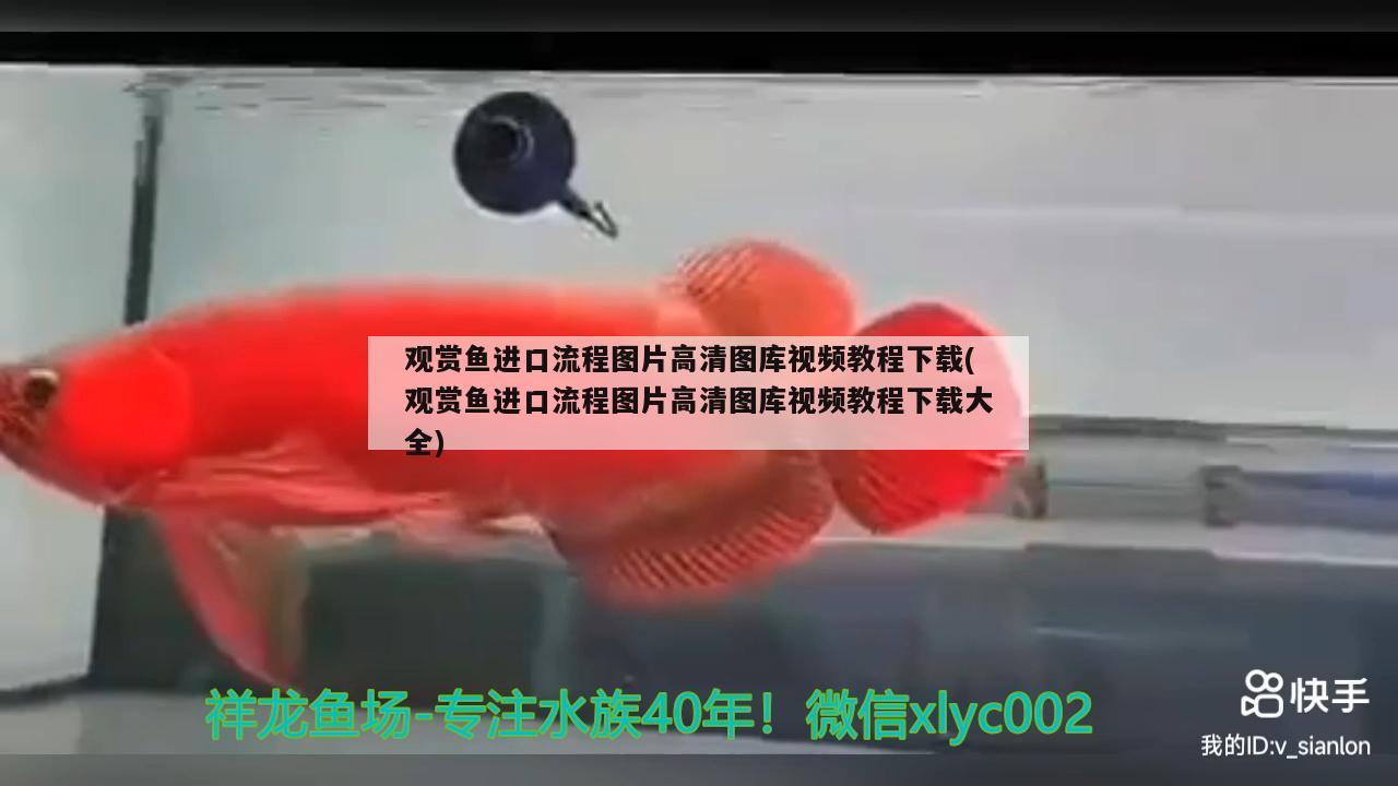 鱼缸氧气泵牌子(鱼缸氧气泵牌子哪个好)