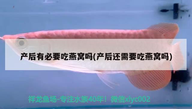 曲靖水族批发市场在哪里有卖的：曲靖水族批发市场在哪里有卖的啊 观赏鱼水族批发市场 第2张