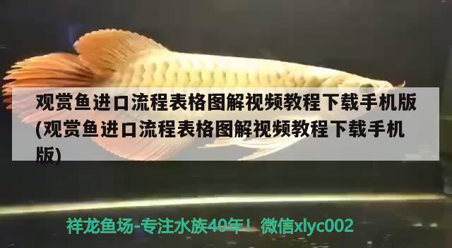 观赏鱼进口流程表格图解视频教程下载手机版(观赏鱼进口流程表格图解视频教程下载手机版) 观赏鱼进出口