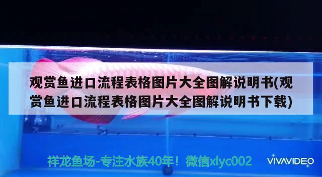 金龙鱼上班多少钱一月（为什么淘宝的金龙鱼调和油和超市价格差不多） 锦鲤鱼 第2张