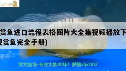 观赏鱼进口流程表格图片大全集视频播放下载(观赏鱼完全手册) 观赏鱼进出口