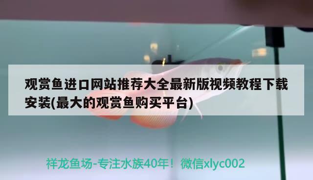 观赏鱼进口网站推荐大全最新版视频教程下载安装(最大的观赏鱼购买平台) 观赏鱼进出口