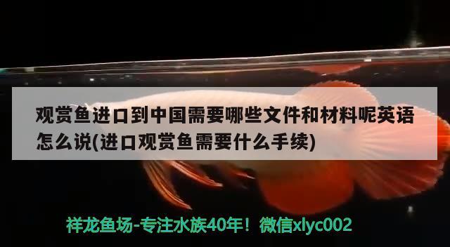 观赏鱼进口到中国需要哪些文件和材料呢英语怎么说(进口观赏鱼需要什么手续)