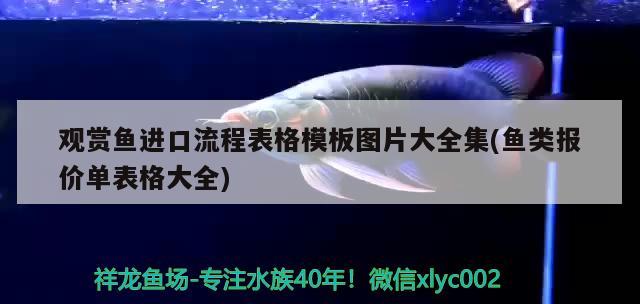 pccy是什么牌手机，养鱼高手请赐教！我的黑云鱼请回来半个多月了，可是除了吃食游上来，平时基本都不游动，总沉在缸底下不动