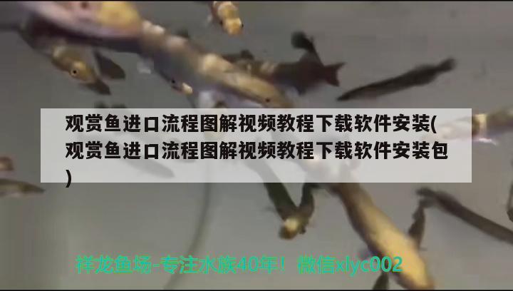 观赏鱼进口流程图解视频教程下载软件安装(观赏鱼进口流程图解视频教程下载软件安装包)