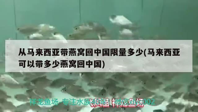 从马来西亚带燕窝回中国限量多少(马来西亚可以带多少燕窝回中国) 马来西亚燕窝