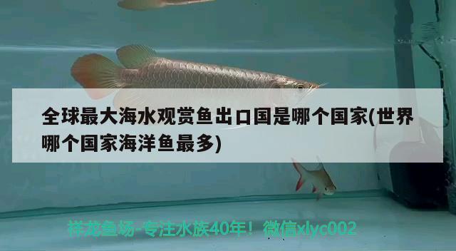 全球最大海水观赏鱼出口国是哪个国家(世界哪个国家海洋鱼最多) 观赏鱼进出口