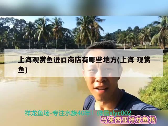 上海观赏鱼进口商店有哪些地方(上海观赏鱼)