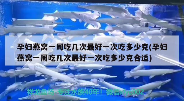 孕妇燕窝一周吃几次最好一次吃多少克(孕妇燕窝一周吃几次最好一次吃多少克合适)