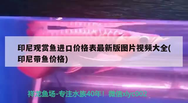 燕窝的功效和食用方法视频讲解(燕窝的功效和食用方法视频讲解大全) 马来西亚燕窝