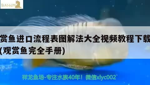 观赏鱼进口流程表图解法大全视频教程下载安装(观赏鱼完全手册) 观赏鱼进出口