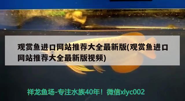 观赏鱼进口网站推荐大全最新版(观赏鱼进口网站推荐大全最新版视频)