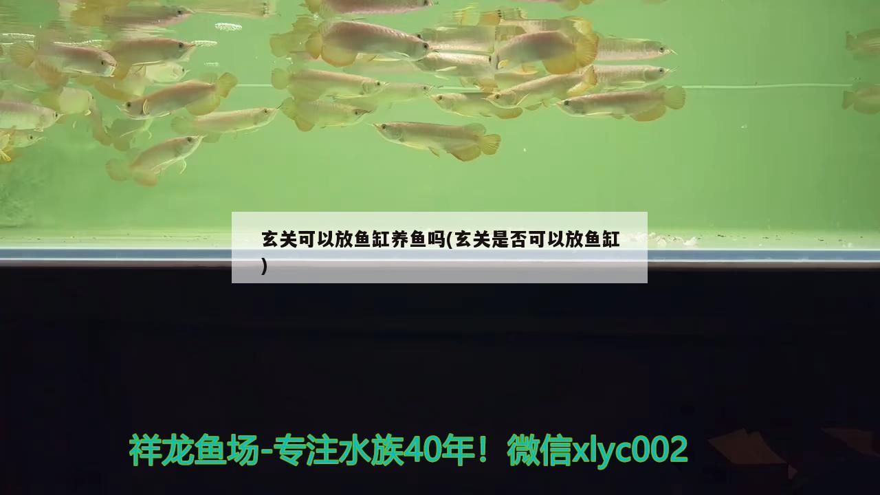 北京市海淀区远大广源工艺品市场戴琳水族用品店 水族用品 第1张