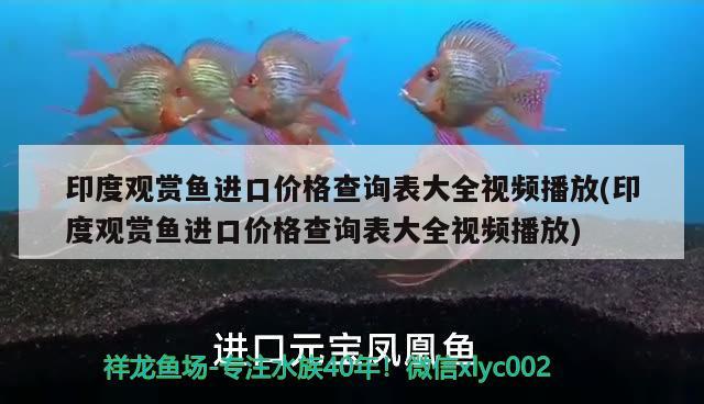 印度观赏鱼进口价格查询表大全视频播放(印度观赏鱼进口价格查询表大全视频播放) 观赏鱼进出口