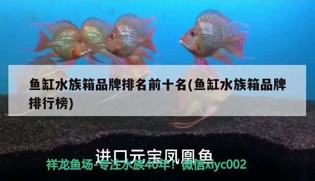 鱼缸水族箱品牌排名前十名(鱼缸水族箱品牌排行榜) 鱼缸/水族箱