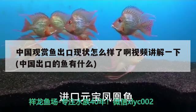 羡鱼水族箱鱼缸温度计玻璃水温计草缸温度计壁挂式挂钩温度计(鱼缸用水温计)