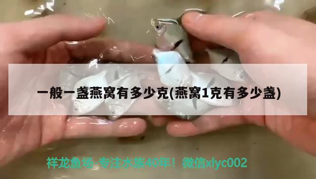 一般一盏燕窝有多少克(燕窝1克有多少盏)