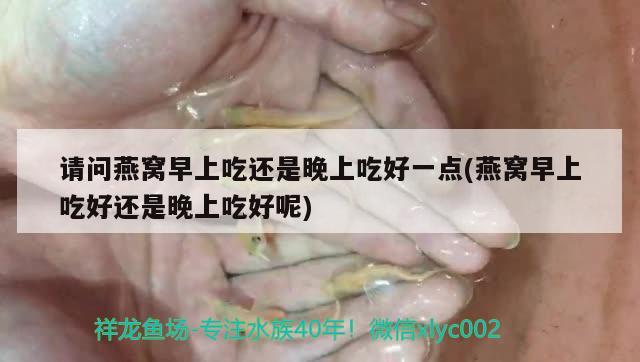 鱼缸包邮费用的计算方法，鱼缸包邮费用怎么算鱼缸包邮费用怎么算鱼缸包邮费用的计算方法 泰庞海鲢鱼 第1张