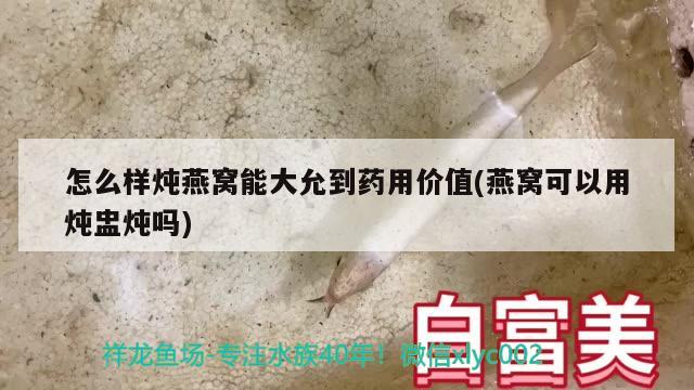 怎么样炖燕窝能大允到药用价值(燕窝可以用炖盅炖吗) 马来西亚燕窝