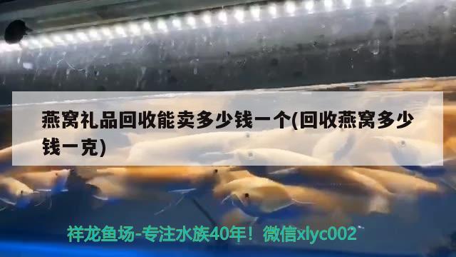 燕窝礼品回收能卖多少钱一个(回收燕窝多少钱一克) 马来西亚燕窝