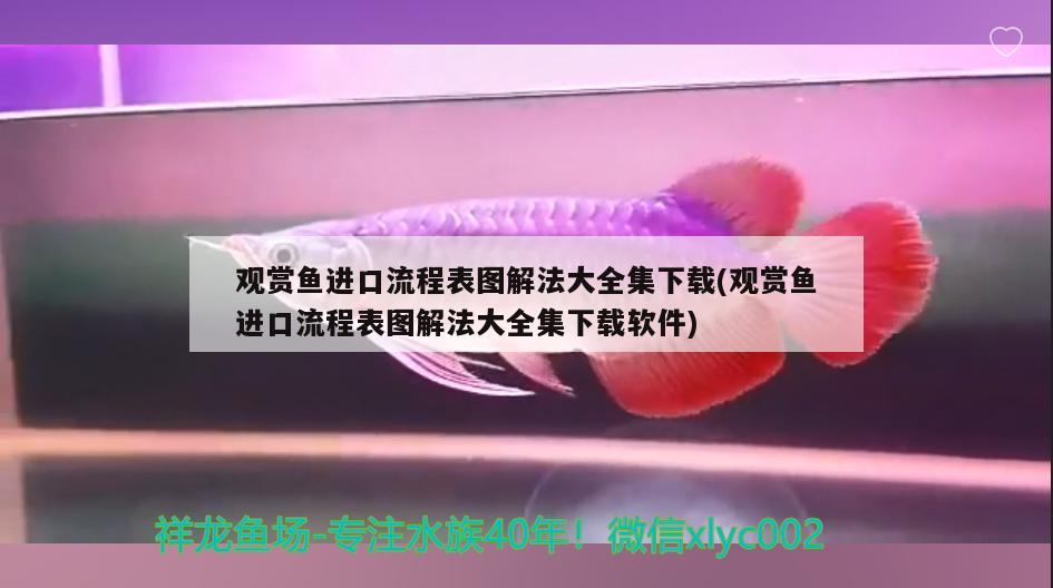 观赏鱼进口流程表图解法大全集下载(观赏鱼进口流程表图解法大全集下载软件) 观赏鱼进出口