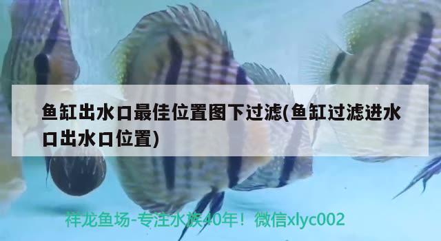 鱼缸出水口最佳位置图下过滤(鱼缸过滤进水口出水口位置)