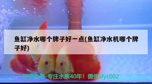 百色水族馆:我重新开缸的花销 鱼缸风水 第3张