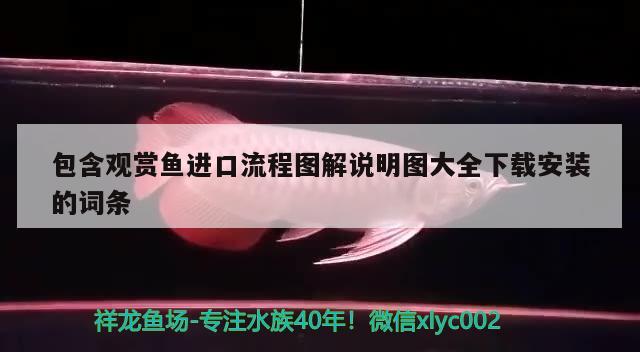 包含观赏鱼进口流程图解说明图大全下载安装的词条 观赏鱼进出口