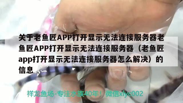 关于老鱼匠APP打开显示无法连接服务器老鱼匠APP打开显示无法连接服务器（老鱼匠app打开显示无法连接服务器怎么解决）的信息 老鱼匠