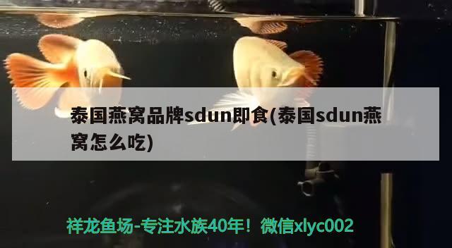 泰国燕窝品牌sdun即食(泰国sdun燕窝怎么吃) 马来西亚燕窝 第2张