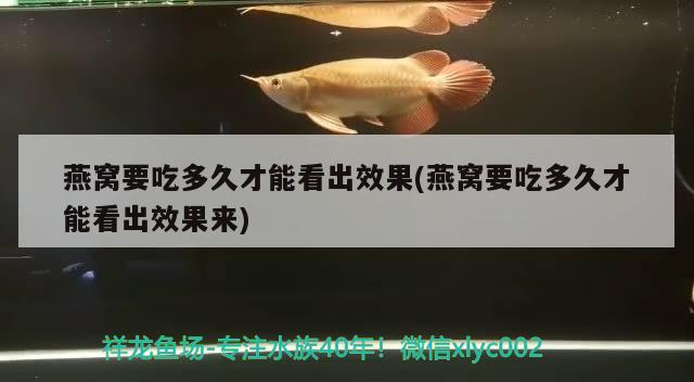 燕窝要吃多久才能看出效果(燕窝要吃多久才能看出效果来) 马来西亚燕窝