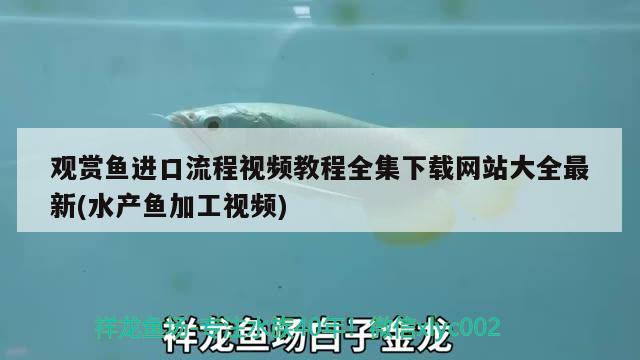 观赏鱼进口流程视频教程全集下载网站大全最新(水产鱼加工视频) 观赏鱼进出口