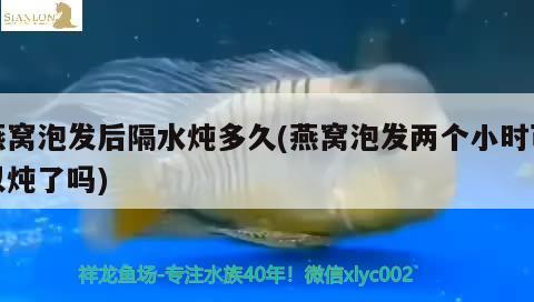 燕窝泡发后隔水炖多久(燕窝泡发两个小时可以炖了吗) 马来西亚燕窝 第3张