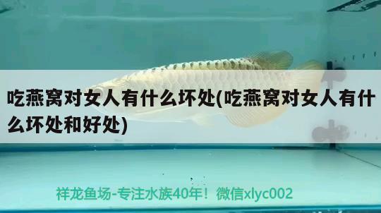 清远鱼缸制品厂地址电话号码（ 清远水族馆地址）