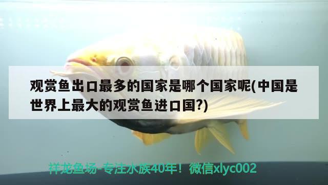 观赏鱼出口最多的国家是哪个国家呢(中国是世界上最大的观赏鱼进口国?)